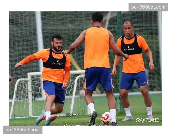 多名球员因累积黄牌停赛,将错过本轮关键战役 多名球员因累积黄牌停赛,将错过本轮关键战役