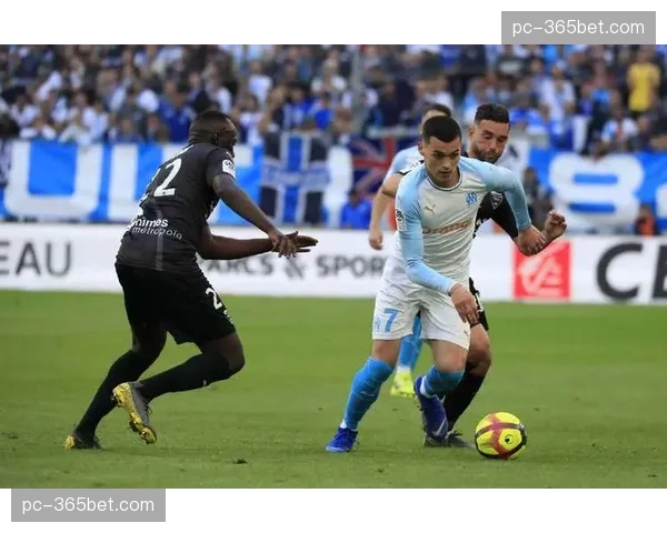 深度报道：聚焦法甲联赛本赛季VAR介入次数与改判准确率报告